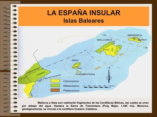 LA ESPAÑA INSULAR
                                Islas Baleares




           Mallorca e Ibiza son realmente fragmentos de las Cordilleras Béticas, las cuales se unen
por debajo del agua. Destaca la Sierra de Tramontana (Puig Major, 1.445 ms). Menorca,
geológicamente, se vincula a la cordillera Costero- Catalana.
 