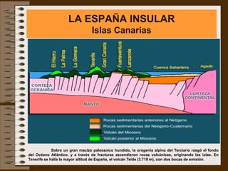 LA ESPAÑA INSULAR
                                 Islas Canarias




             Sobre un gran macizo paleozoico hundido, la orogenia alpina del Terciario rasgó el fondo
del Océano Atlántico, y a través de fracturas ascendieron rocas volcánicas, originando las islas. En
Tenerife se halla la mayor altitud de España, el volcán Teide (3.718 m), con dos bocas de emisión.
 