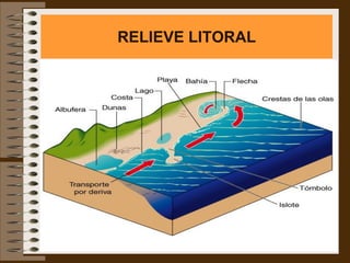 RELIEVE LITORAL
 