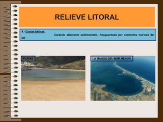 RELIEVE LITORAL
4.- Costas béticas.
                      Carácter altamente sedimentario. Resguardada por corrientes marinas del
NE.




 PLAYAS                                          LA MANGA DEL MAR MENOR
 
