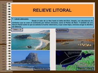 RELIEVE LITORAL
5.- Litoral valenciano.
                           Desde el cabo de La Nao hasta el delta del Ebro. Amplia, con abundancia de
tómbolos que se unen al continente por istmos arenosos, como el Peñón de Ifach. Y también de una
llanura litoral sobre la que se asienta la huerta valenciana y cuya costa baja y arenosa acoge la albufera
de Valencia.
TÓMBOLOS                                                  ALBUFERAS




                             PEÑÓN DE IFACH                                           CORDÓN LITORAL
 