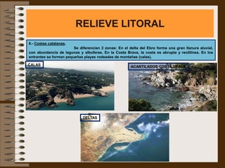 RELIEVE LITORAL
6.- Costas catalanas.
                        Se diferencian 2 zonas: En el delta del Ebro forma una gran llanura aluvial,
con abundancia de lagunas y albuferas. En la Costa Brava, la costa es abrupta y rectilínea. En los
entrantes se forman pequeñas playas rodeadas de montañas (calas).

CALAS                                                  ACANTILADOS COSTA BRAVA




                             DELTAS
 