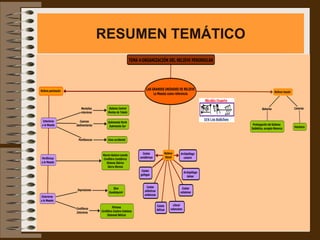 RESUMEN TEMÁTICO
 