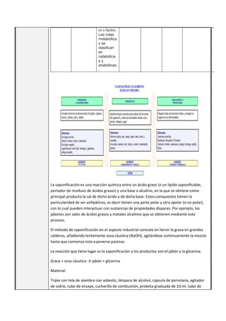 os o lípidos.
Las rutas
metabólica
s se
clasifican
en
catabólica
s y
anabólicas
.
La saponificación es una reacción química entre un ácido graso (o un lípido saponificable,
portador de residuos de ácidos grasos) y una base o alcalino, en la que se obtiene como
principal producto la sal de dicho ácido y de dicha base. Estos compuestos tienen la
particularidad de ser anfipáticos, es decir tienen una parte polar y otra apolar (o no polar),
con lo cual pueden interactuar con sustancias de propiedades dispares. Por ejemplo, los
jabones son sales de ácidos grasos y metales alcalinos que se obtienen mediante este
proceso.
El método de saponificación en el aspecto industrial consiste en hervir la grasa en grandes
calderas, añadiendo lentamente sosa cáustica (NaOH), agitándose continuamente la mezcla
hasta que comienza esta a ponerse pastosa.
La reacción que tiene lugar es la saponificación y los productos son el jabón y la glicerina:
Grasa + sosa cáustica → jabón + glicerina
Material:
Tripie con tela de alambre con asbesto, lámpara de alcohol, capsula de porcelana, agitador
de vidrio, tubo de ensaye, cucharilla de combustión, probeta graduada de 10 ml. tubo de
 