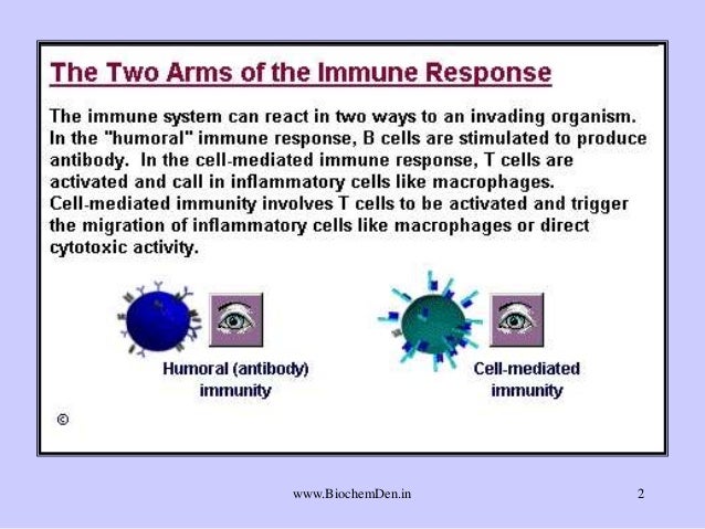 Immunology: Immunity - What is Aquired immunity?