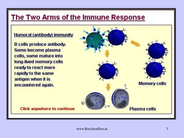 Immunology: Immunity - What is Aquired immunity?