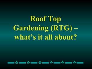 Roof Top Gardening (RTG) – what’s it all about? 