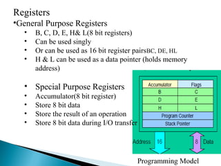 Registers
•General Purpose Registers
• B, C, D, E, H& L(8 bit registers)
• Can be used singly
• Or can be used as 16 bit register pairsBC, DE, HL
• H & L can be used as a data pointer (holds memory
address)
• Special Purpose Registers
• Accumulator(8 bit register)
• Store 8 bit data
• Store the result of an operation
• Store 8 bit data during I/O transfer
Programming Model
 