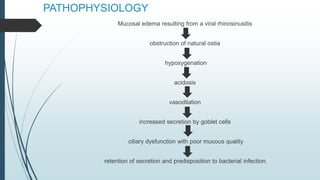 PATHOPHYSIOLOGY
Mucosal edema resulting from a viral rhinosinusitis
obstruction of natural ostia
hypoxygenation
acidosis
vasodilation
increased secretion by goblet cells
ciliary dysfunction with poor mucous quality
retention of secretion and predisposition to bacterial infection.
 