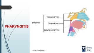 PHARYNX
PHARYNGITIS
 