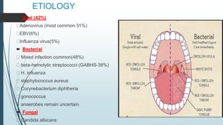 ETIOLOGY
 Viral (42%)
Adenovirus (most common 31%)
EBV(6%)
Influenza virus(5%)
 Bacterial
Mixed infection common(48%)
beta-hemolytic streptococci (GABHS-38%)
H. influenza
staphylococcus aureus
Corynebacterium diphtheria
gonococcus
anaerobes remain uncertain.
 Fungal
Candida albicans
 