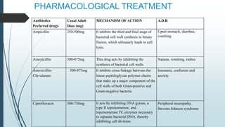 PHARMACOLOGICAL TREATMENT
Antibiotics
Preferred drugs
Usual Adult
Dose (mg)
MECHANISM OF ACTION A.D.R
Ampicillin 250-500mg It inhibits the third and final stage of
bacterial cell wall synthesis in binary
fission, which ultimately leads to cell
lysis.
Upset stomach, diarrhea,
vomiting
Amoxicillin 500-875mg This drug acts by inhibiting the
synthesis of bacterial cell walls
Nausea, vomiting, rashes
Amoxicillin-
Clavulanate
500-875mg It inhibits cross-linkage between the
linear peptidoglycan polymer chains
that make up a major component of the
cell walls of both Gram-positive and
Gram-negative bacteria
Insomnia, confusion and
anxiety
Ciprofloxacin 500-750mg It acts by inhibiting DNA gyrase, a
type II topoisomerase, and
topoisomerase IV, enzymes necessary
to separate bacterial DNA, thereby
inhibiting cell division.
Peripheral neuropathy,
Stevens-Johnson syndrome
 