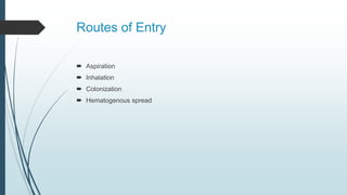 Routes of Entry
 Aspiration
 Inhalation
 Colonization
 Hematogenous spread
 