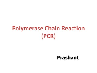 Polymerase Chain Reaction (PCR)  