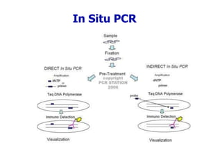 Multiplex PCR <br /> Multiplex PCR is a variant of PCR which enabling simultaneous amplification of many targets of intere...