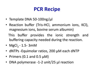 PCR, Real Time PCR