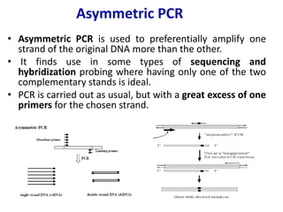 Asymmetric PCR<br />Asymmetric PCR is used to preferentially amplify one strand of the original DNA more than the other. <...