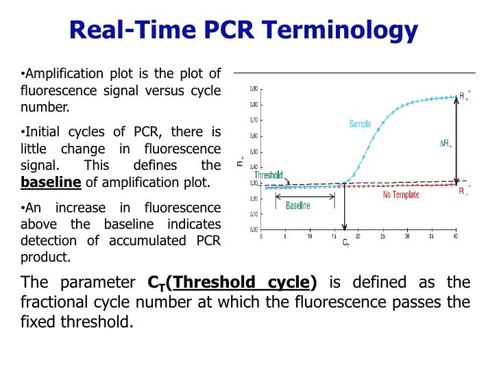 pcr real time pcr real time pcr
