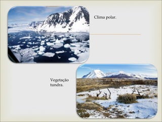 
Clima polar.
Vegetação
tundra.
 