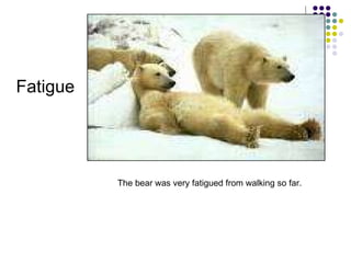 Fatigue The bear was very fatigued from walking so far. 