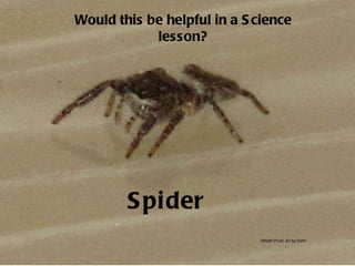Spider Would this be helpful in a Science lesson? ©Keith Pruitt, Art by Keith 