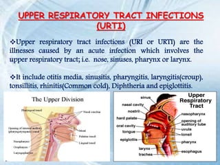 UPPER RESPIRATORY TRACT INFECTIONS
(URTI)
Upper respiratory tract infections (URI or URTI) are the
illnesses caused by an acute infection which involves the
upper respiratory tract; i.e. nose, sinuses, pharynx or larynx.
It include otitis media, sinusitis, pharyngitis, laryngitis(croup),
tonsillitis, rhinitis(Common cold), Diphtheria and epiglottitis.
 