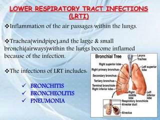 LOWER RESPIRATORY TRACT INFECTIONS
(LRTI)
Inflammation of the air passages within the lungs.
Trachea(windpipe),and the large & small
bronchi(airways)within the lungs become inflamed
because of the infection.
The infections of LRT includes:
 BRONCHITIS
 BRONCHEOLITIS
 PNEUMONIA
 