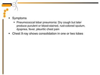 Symptoms Pneumococcal lobar pneumonia: Dry cough but later produce purulent or blood-stained, rust-colored sputum, dyspnea, fever, pleuritic chest pain Chest X-ray shows consolidation in one or two lobes 
