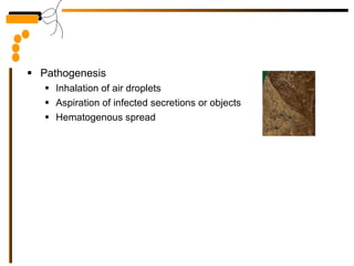 Pathogenesis Inhalation of air droplets Aspiration of infected secretions or objects Hematogenous spread 