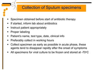Collection of Sputum specimens Specimen obtained before start of antibiotic therapy If started, inform lab about antibiotics Instruct patient appropriately Proper labeling Patient’s name, test type, date, clinical info Preferably collect in working hours Collect specimen as early as possible in acute phase, these agents tend to disappear rapidly after the onset of symptoms All specimens for viral culture to be frozen and stored at -70 o C 