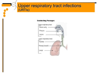 Upper respiratory tract infections  (URTIs) 