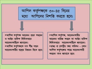 Rti Simplified Flowchart Pptx