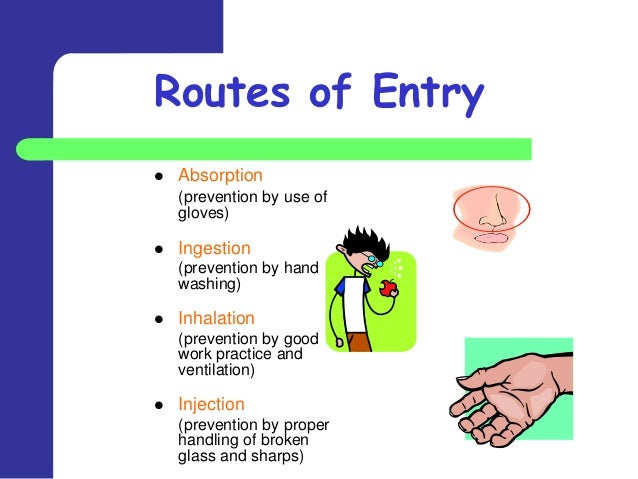 Routes Of Entry For Pathogens – Routes of transmission – RGNC