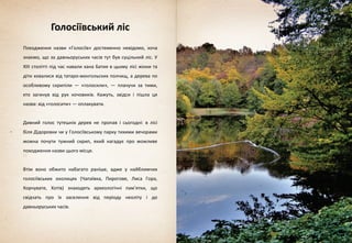 Голосіївський ліс
Походження назви «Голосіїв» достеменно невідомо, хоча
знаємо, що за давньоруських часів тут був суцільний ліс. У
XIIІ столітті під час навали хана Батия в цьому лісі жінки та
діти ховалися від татаро-монгольских полчищ, а дерева по
особливому скрипіли — «голосили», — плачучи за тими,
хто загинув від рук кочовиків. Кажуть, звідси і пішла ця
назва: від «голосити» — оплакувати.
Дивний голос тутешніх дерев не пропав і сьогодні: в лісі
біля Дідоровки чи у Голосіївському парку тихими вечорами
можна почути тужний скрип, який нагадує про можливе
походження назви цього місця.
Втім воно обжито набагато раніше, адже у найближчих
голосіївських околицях (Чапаївка, Пирогове, Лиса Гора,
Корчувате, Хотів) знаходять археологічні пам’ятки, що
свідчать про їх заселення від періоду неоліту і до
давньоруських часів.
 