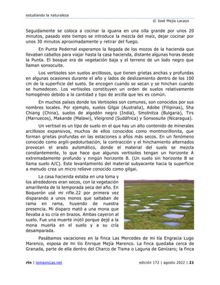 estudiando la naturaleza
© José Mejía Lacayo
rtn | temasnicas.net edición 172 | agosto 2022 | 21
Seguidamente se coloca a cocinar la iguana en una olla grande por unos 20
minutos, pasado este tiempo se introduce la mezcla del maíz, dejar cocinar por
unos 30 minutos aproximadamente y retirar del fuego.
En Punta Pedernal esperamos la llegada de los mozos de la hacienda que
llevaban caballos para viajar hasta la casa hacienda, distante algunas horas desde
la Punta. El bosque era de vegetación baja y el terreno de un lodo negro que
llaman sonsocuite.
Los vertisoles son suelos arcillosos, que tienen grietas anchas y profundas
en algunas ocasiones durante el año y lados de deslizamiento dentro de los 100
cm de la superficie del suelo. Se encogen cuando se secan y se hinchan cuando
se humedecen. Los vertisoles constituyen un orden de suelos relativamente
homogéneo debido a la cantidad y tipo de arcilla que les es común.
En muchos países donde los Vertisoles son comunes, son conocidos por sus
nombres locales. Por ejemplo, suelos Gilgai (Australia), Adobe (Filipinas), Sha
Chiang (China), suelos de algodón negro (India), Smolnitza (Bulgaria), Tirs
(Marruecos), Makande (Malawi), Vleigrond (Sudáfrica) y Sonsosuite (Nicaragua).
Un vertisol es un tipo de suelo en el que hay un alto contenido de minerales
arcillosos expansivos, muchos de ellos conocidos como montmorillonita, que
forman grietas profundas en las estaciones o años más secos. En un fenómeno
conocido como argili-pedoturbación, la contracción y el hinchamiento alternados
provocan el arado automático, donde el material del suelo se mezcla
constantemente, lo que hace que algunos vertisoles tengan un horizonte A
extremadamente profundo y ningún horizonte B. (Un suelo sin horizonte B se
llama suelo A/C). Este levantamiento del material subyacente hacia la superficie
a menudo crea un micro relieve conocido como gilgai.
La casa hacienda estaba en una loma y
los alrededores eran secos, con la vegetación
amarillenta de la temporada seca del año. En
Boquerón usé mi rifle.22 por primera vez
disparando a unos monos que saltaban de
rama en rama, huyendo de nuestra
presencia. Mi disparo mató a una mona que
llevaba a su cría en brazos. Ambas cayeron al
suelo. Fue una muerte inútil porque dejé a la
mona muerta en el suelo y a su cría
desamparada.
Pasábamos vacaciones en la finca Las Mercedes de mi tía Engracia Lugo
Marenco, esposa de mi tío Enrique Mejía Marenco. La finca quedaba cerca de
Granada, parte de ella dentro del Charco de Tisma o Laguna de Genízaro; la finca
 