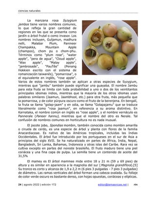 ciencias naturales
24 | agosto 2022 | edición 172 editor@temasnicas.net | rtn
La manzana rosa Syzygium
jambos tiene varios nombres comunes,
lo que refleja la gran cantidad de
regiones en las que se presenta como
jardín o árbol frutal o como invasor. Los
nombres incluyen, Guljamun, madhura
nelli, Malabar Plum, Panineer
Champakka, Mountain Apple
(champoo), chom pu o chom-phu.
Términos como "plum rose", "water
apple", "pera de agua", "Cloud apple",
"Wax apple", "Malay apple",
"jambrosade", "PauTêe" (Penang
Hokkien escrito con el sistema de
romanización taiwanés), "pomarrosa", o
el equivalente en inglés, "rose apple".
Varios de estos nombres también se aplican a otras especies de Syzygium,
mientras que "jambu" también puede significar una guayaba. El nombre Jambu
para esta fruta se limita con toda probabilidad a uno o dos de los veintitantos
principales idiomas indios, mientras que la mayoría de los otros idiomas usan
palabras similares (Jaamun, Jaambhool, etc.) para otra fruta, más pequeña que
la pomarrosa, y de color púrpura oscuro como el fruto de la berenjena. En bengalí,
la fruta se llama "golap-jaam" y en odia, se llama "Golapajamu" que se traduce
literalmente como "rosa jaamun", en referencia a su aroma distintivo. En
Karnataka, el nombre común en inglés es "rose apple", y el nombre vernáculo es
Pannerale (Paneer hannu), mientras que el nombre del otro es Nerale. Tal
confusión de nombres comunes en horticultura no es nada inusual.
El jocote jobo, Spondias mombin, también conocida como mombin amarilla
o ciruela de cerdo, es una especie de árbol y planta con flores de la familia
Anacardiaceae. Es nativo de las Américas tropicales, incluidas las Indias
Occidentales. El árbol fue introducido por los portugueses en el sur de Asia a
principios del siglo XVII. Se ha naturalizado en partes de África, India, Nepal,
Bangladesh, Sri Lanka, Bahamas, Indonesia y otras islas del Caribe. Rara vez se
cultiva excepto en partes del noreste brasileño. El fruto maduro tiene una piel
coriácea y una fina capa de pulpa. La semilla tiene un contenido de aceite del
31,5%
El mamey es El árbol mammee mide entre 18 y 21 m (59 y 69 pies) de
altura y es similar en apariencia a la magnolia del sur (Magnolia grandiflora).[5]
Su tronco es corto y alcanza de 1,9 a 2,2 m (6 pies 3 pulgadas - 7 pies 3 pulgadas)
de diámetro. Las ramas verticales del árbol forman una cabeza ovalada. Su follaje
de color verde oscuro es bastante denso, con hojas opuestas, coriáceas y elípticas.
 