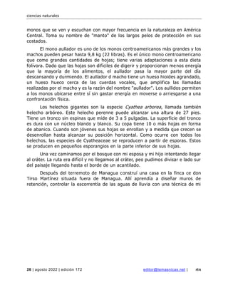 ciencias naturales
26 | agosto 2022 | edición 172 editor@temasnicas.net | rtn
monos que se ven y escuchan con mayor frecuencia en la naturaleza en América
Central. Toma su nombre de "manto" de los largos pelos de protección en sus
costados.
El mono aullador es uno de los monos centroamericanos más grandes y los
machos pueden pesar hasta 9,8 kg (22 libras). Es el único mono centroamericano
que come grandes cantidades de hojas; tiene varias adaptaciones a esta dieta
folívora. Dado que las hojas son difíciles de digerir y proporcionan menos energía
que la mayoría de los alimentos, el aullador pasa la mayor parte del día
descansando y durmiendo. El aullador d macho tiene un hueso hioides agrandado,
un hueso hueco cerca de las cuerdas vocales, que amplifica las llamadas
realizadas por el macho y es la razón del nombre "aullador". Los aullidos permiten
a los monos ubicarse entre sí sin gastar energía en moverse o arriesgarse a una
confrontación física.
Los helechos gigantes son la especie Cyathea arborea, llamada también
helecho arbóreo. Este helecho perenne puede alcanzar una altura de 27 pies.
Tiene un tronco sin espinas que mide de 3 a 5 pulgadas. La superficie del tronco
es dura con un núcleo blando y blanco. Su copa tiene 10 o más hojas en forma
de abanico. Cuando son jóvenes sus hojas se enrollan y a medida que crecen se
desenrollan hasta alcanzar su posición horizontal. Como ocurre con todos los
helechos, las especies de Cyatheaceae se reproducen a partir de esporas. Estos
se producen en pequeños esporangios en la parte inferior de sus hojas.
Una vez caminamos por el bosque con mi esposa y mi hijo intentando llegar
al cráter. La ruta era difícil y no llegamos al cráter, peo pudimos divisar e lado sur
del paisaje llegando hasta el borde de un acantilado.
Después del terremoto de Managua construí una casa en la finca ce don
Tirso Martínez situada fuera de Managua. Allí aprendía a diseñar muros de
retención, controlar la escorrentía de las aguas de lluvia con una técnica de mi
 