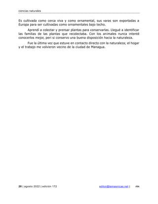 ciencias naturales
28 | agosto 2022 | edición 172 editor@temasnicas.net | rtn
Es cultivada como cerca viva y como ornamental, sus varas son exportadas a
Europa para ser cultivadas como ornamentales bajo techo.
Aprendí a colectar y prensar plantas para conservarlas. Llegué a identificar
las familias de las plantas que recolectaba. Con los animales nunca intenté
conocerlos mejor, peri si conservo una buena disposición hacia la naturaleza.
Fue la última vez que estuve en contacto directo con la naturaleza; el hogar
y el trabajo me volvieron vecino de la ciudad de Managua.
 