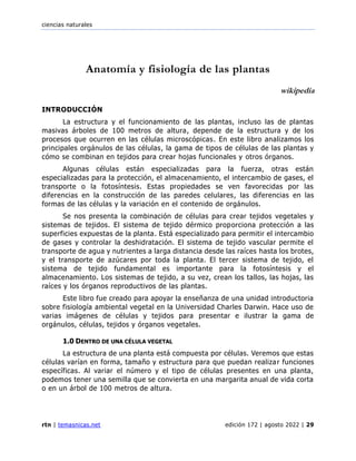 ciencias naturales
rtn | temasnicas.net edición 172 | agosto 2022 | 29
Anatomía y fisiología de las plantas
wikipedia
INTRODUCCIÓN
La estructura y el funcionamiento de las plantas, incluso las de plantas
masivas árboles de 100 metros de altura, depende de la estructura y de los
procesos que ocurren en las células microscópicas. En este libro analizamos los
principales orgánulos de las células, la gama de tipos de células de las plantas y
cómo se combinan en tejidos para crear hojas funcionales y otros órganos.
Algunas células están especializadas para la fuerza, otras están
especializadas para la protección, el almacenamiento, el intercambio de gases, el
transporte o la fotosíntesis. Estas propiedades se ven favorecidas por las
diferencias en la construcción de las paredes celulares, las diferencias en las
formas de las células y la variación en el contenido de orgánulos.
Se nos presenta la combinación de células para crear tejidos vegetales y
sistemas de tejidos. El sistema de tejido dérmico proporciona protección a las
superficies expuestas de la planta. Está especializado para permitir el intercambio
de gases y controlar la deshidratación. El sistema de tejido vascular permite el
transporte de agua y nutrientes a larga distancia desde las raíces hasta los brotes,
y el transporte de azúcares por toda la planta. El tercer sistema de tejido, el
sistema de tejido fundamental es importante para la fotosíntesis y el
almacenamiento. Los sistemas de tejido, a su vez, crean los tallos, las hojas, las
raíces y los órganos reproductivos de las plantas.
Este libro fue creado para apoyar la enseñanza de una unidad introductoria
sobre fisiología ambiental vegetal en la Universidad Charles Darwin. Hace uso de
varias imágenes de células y tejidos para presentar e ilustrar la gama de
orgánulos, células, tejidos y órganos vegetales.
1.0 DENTRO DE UNA CÉLULA VEGETAL
La estructura de una planta está compuesta por células. Veremos que estas
células varían en forma, tamaño y estructura para que puedan realizar funciones
específicas. Al variar el número y el tipo de células presentes en una planta,
podemos tener una semilla que se convierta en una margarita anual de vida corta
o en un árbol de 100 metros de altura.
 