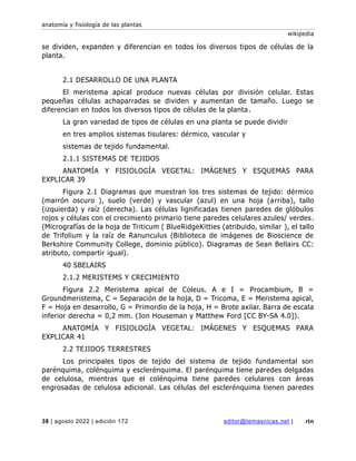 anatomía y fisiología de las plantas
wikipedia
38 | agosto 2022 | edición 172 editor@temasnicas.net | rtn
se dividen, expanden y diferencian en todos los diversos tipos de células de la
planta.
2.1 DESARROLLO DE UNA PLANTA
El meristema apical produce nuevas células por división celular. Estas
pequeñas células achaparradas se dividen y aumentan de tamaño. Luego se
diferencian en todos los diversos tipos de células de la planta.
La gran variedad de tipos de células en una planta se puede dividir
en tres amplios sistemas tisulares: dérmico, vascular y
sistemas de tejido fundamental.
2.1.1 SISTEMAS DE TEJIDOS
ANATOMÍA Y FISIOLOGÍA VEGETAL: IMÁGENES Y ESQUEMAS PARA
EXPLICAR 39
Figura 2.1 Diagramas que muestran los tres sistemas de tejido: dérmico
(marrón oscuro ), suelo (verde) y vascular (azul) en una hoja (arriba), tallo
(izquierda) y raíz (derecha). Las células lignificadas tienen paredes de glóbulos
rojos y células con el crecimiento primario tiene paredes celulares azules/ verdes.
(Micrografías de la hoja de Triticum ( BlueRidgeKitties (atribuido, similar ), el tallo
de Trifolium y la raíz de Ranunculus (Biblioteca de imágenes de Bioscience de
Berkshire Community College, dominio público). Diagramas de Sean Bellairs CC:
atributo, compartir igual).
40 SBELAIRS
2.1.2 MERISTEMS Y CRECIMIENTO
Figura 2.2 Meristema apical de Coleus. A e I = Procambium, B =
Groundmeristema, C = Separación de la hoja, D = Tricoma, E = Meristema apical,
F = Hoja en desarrollo, G = Primordio de la hoja, H = Brote axilar. Barra de escala
inferior derecha = 0,2 mm. (Jon Houseman y Matthew Ford [CC BY-SA 4.0]).
ANATOMÍA Y FISIOLOGÍA VEGETAL: IMÁGENES Y ESQUEMAS PARA
EXPLICAR 41
2.2 TEJIDOS TERRESTRES
Los principales tipos de tejido del sistema de tejido fundamental son
parénquima, colénquima y esclerénquima. El parénquima tiene paredes delgadas
de celulosa, mientras que el colénquima tiene paredes celulares con áreas
engrosadas de celulosa adicional. Las células del esclerénquima tienen paredes
 