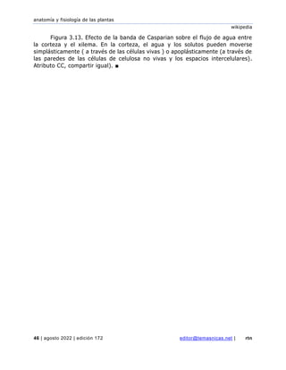 anatomía y fisiología de las plantas
wikipedia
46 | agosto 2022 | edición 172 editor@temasnicas.net | rtn
Figura 3.13. Efecto de la banda de Casparian sobre el flujo de agua entre
la corteza y el xilema. En la corteza, el agua y los solutos pueden moverse
simplásticamente ( a través de las células vivas ) o apoplásticamente (a través de
las paredes de las células de celulosa no vivas y los espacios intercelulares).
Atributo CC, compartir igual). ■
 