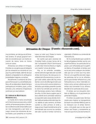 ámbar: la resina prodigiosa
© Ing. M.Sc. Guillermo Bendaña
| noviembre 2022 | edición 175 jtmejia@gmail.com |
muy similares, se cree que es el Hime-
nea protera. El actual guapinol tam-
bién se caracteriza por una fuerte se-
creción de resina, tanto en tronco
como en raíces.
Artesanías con ámbar en Chiapas.
El ámbar es una gema que al trabajarla
por los artesanos se convierte en una
joya muy demandada, además de que
desde la antigüedad se le atribuyeron
propiedades mágicas y curativas.
Actualmente, la artesanía de Chia-
pas es famosa por su versatilidad y be-
lleza; allí se elaboraban desde tiempos
prehispánicos amuletos, joyas, y otros
artículos y los artesanos chiapanecos
continúan con esa tradición.
EL ÁMBAR DE REPÚBLICA
DOMINICANA.
La fuente de la resina encontrada
en R. Dominicana proviene de un árbol
extinto, el Hymenaea protera. Este ám-
bar se diferencia del ámbar báltico por
ser más transparente y por tener un
mayor número de inclusiones de res-
tos fósiles y por presentar en muchos
casos un color azul. Posee la misma
edad del ámbar de Chiapas.
Se cuenta que para sorpresa de
Cristóbal Colón al pisar tierras de la
isla “La Española” (hoy R. Dominicana)
un jefe indio Taino le ofreció un regalo,
una “piedra” o trozo de ámbar.
Hoy no se entiende completa-
mente sobre el origen del color azul del
ámbar dominicano. Se cree que es re-
sultado de la fluorescencia y no de nin-
gún color sólido; sobre ello hay varias
teorías: a) Una de ellas liga el color azul
a la ocurrencia de la ceniza volcánica o
del polvo que estaba presente cuando
la resina fue extraída por primera vez
del Hymenaea protera hace millones
de años. b) Otra teoría sugiere que la
lava caliente de la actividad volcánica
se expandió sobre áreas donde el ám-
bar habitual estaba enterrado bajo tie-
rra; debido al calor extremo, el ámbar
cambió su color primero al verde y
luego al azul. Experimentalmente se ha
demostrado que ocurren los cambios
del color cuando el ámbar normal es
calentado. c) Debido a su contenido de
hidrocarburos.
Se ha comprobado que cuando la
luz del sol golpea el ámbar azul en una
superficie blanca, las partículas de luz
pasan y son refractadas por la superfi-
cie blanca. El resultado: el ámbar azul
se ve casi como cualquier otro ámbar,
sólo que con un tono azul muy claro.
Pero en una superficie de color negro,
las partículas de luz no se refractan,
por lo que el ámbar refracta la luz, y los
hidrocarburos (u otros materiales ex-
traños como cenizas volcánicas) en el
ámbar azul convierten la luz ultravio-
leta del sol en partículas de luz azul.
El ámbar azul se encuentra tam-
bién en México y en el yacimiento es-
pañol de El Soplao.
El ámbar se puede tratar térmica-
mente para mejorar su transparencia
(lo hacen con el ámbar Báltico); esto no
es necesario con el ámbar domini-
cano, a tal grado que se dice que el
ámbar azul limpio y transparente es
más caro que el oro y los diamantes (?).
 