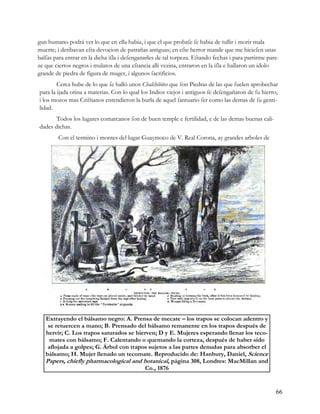 Rtn 29-septiembre 2010