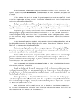 Hasta el momento, los restos más antiguos claramente referibles al orden Proboscídea, son
aquellos asignados al género Moeritherium, hallados en rocas de 45 ma., aflorantes en Egipto, Malí
y Senegal.
       Si bien su aspecto general y su tamaño recuerda más a un tapir, que al de un elefante, presen-
ta muchas características óseas que permiten considerarlo indiscutiblemente como el integrante más
antiguo del orden de los proboscidios.
       La ligera retracción de sus orificios nasales permite deducir que su trompa era muy corta,
Tenían la dentadura casi completa a excepción de los caninos inferiores y tanto arriba como abajo el
segundo par de incisivos estaba agrandado y sobresalía a modo de pequeño colmillo.
       Es probable que el ancestro de los elefantes tuviese una forma similar a un Moeritherium sin
embargo y a pesar que posee muchas características ancestrales ya no se le considera el antepasado
de todos los proboscidios, debido a que junto a él coexistieron muchos otros proboscidios con ras-
gos muy avanzados. Así por el momento, el origen de este orden continua siendo objeto de investi-
gaciones.
         Si bien existen muchos otros linajes, la mayor agrupación dentro de los proboscidios es la de
los elefantoideos, y dentro de ella se diferenciaron dos grandes líneas filéticas, claramente reconoci-
bles, la de los mastodontes y la de los elefántidos.
       En términos geológicos, los mastodontes se separaron primero del tronco principal del gru-
po y conservaron rasgos anatómicos más ancestrales, mientras que el grupo de los elefántidos fue
mucho más especializado. (Ver cuadro de diferencias)
       Con el nombre de mastodontes se agrupan muchos géneros extintos, que se caracterizan por
presentar dientes molares con dos hileras, una interna y otra externa, de cúspides redondeadas y
grandes con forma de mamelones y un par de grandes colmillos superiores que algunas veces están
acompañados con otro par de inferiores..
        Estos molares son muy diferentes al de los elefántidos, los cuales están formados por nume-
rosas láminas paralelas o subparalelas.
        Una de las familias más diversas de mastodontes es la de los Gomphotheriidae, misma que
se habría originado en África, pero que ya para principios del Mioceno aprox. 25ma se distribuían en
el sur de Europa y en el subcontinente indio, y a mediados de este periodo hace alrededor de 13 ma
habrían llegado a América del Norte.
        Con el aparecimiento del alto estructural centroamericano. Hace unos 3ma muchos grupos
de mamíferos provenientes de Norteamérica, entre ellos los gonfoteridos, llegan a Suramérica hasta
hace relativamente poco tiempo, y es así como los mastodontes registran su ingreso en el sur a partir
del Pleistoceno inferior cerca de 2 ma.
       En la actualidad se tienen firmes evidencias, que los gonfoteros coexistieron con los prime-
ros aborígenes que habitaron el continente americano ya que su extinción es posible verificarla en no
hace más de 10.000 años (Fariña R. & S. Vizcaíno 1995)




                                                                                                     33
 