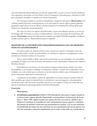 can Land Mammal), Rancholabreana, (Laurito & Aguilar 2007), al cual se suma el reporte inédito de
otro espécimen encontrado en Cerro Pacho, Nueva Concepción, Quezaltepeque, colectado en 1969
por concepción Avendaño y referido en el mismo documento.
        Por otra parte también se sustenta la distribución y dispersión del genero Mammuthus en la
vertiente pacifica del istmo centroamericano, en la cual según los autores sigue el patrón paleobio-
geografico registrado en el sur de México, el cual coincide con la distribución relictual del bosque
tropical seco del pacifico centroamericano.
        De todos los sitios con registro de proboscidios, el que más hallazgos reporta, es el sitio pa-
leontológico Río Tomayate con restos correspondientes a mas de una docena de mastodontes del
genero Cuvieronius, además del Mammuthus columbi, con edades NALMA asignables a la Blanca-
na para el primer genero y Rancholabreana para el segundo.


REGISTRO DE LA DISTRIBUCION PALEOBIOGEOGRAFICA DE LOS PROBOSCI-
DEOS EN CENTROAMERICA
        En toda la región de América central, existen numerosos reportes coloquiales, acerca de
hallazgos relacionados a fósiles de proboscídeos, no obstante los registros, investigaciones y docu-
mentaciones formales resultan ser muy pocos.
        Esto en gran medida se debe a que un buen porcentaje, no son entregados a las autoridades
encargadas de regular esta clase de bienes, enmarcados en leyes relacionadas al Patrimonio Cultural o
Histórico Natural.
        Generalmente estos bienes, son encontrados en lugares relativamente aislados a las urbes
desarrolladas, y casi siempre su hallazgo es accidental o fortuito y cuando este es reportado a las au-
toridades, no es de extrañar que su contexto ya ha sido alterado, debido a que erróneamente se le
presta únicamente importancia al material en sí.
        Ciertamente los que llegan a manos de especialistas en el tema, tratan de rescatar todos los
datos posibles que rodean el material fósil, el cual dará pie a una investigación y documentación
formal del mismo. De esta forma es posible referirnos a estos registros fósiles, los cuales dan una
idea de la distribución paleobiogeografica del Orden Proboscídea.
Guatemala
        Mastodontes
       Serridentinus guatemalensis (Osborn 1936) descripción única para la región, basada en
        un tercer molar superior derecho fragmentado, correspondiente al pleistoceno de Guate-
        mala, L. Mora 1988, sugiere aceptar esta especie descrita con reservas, debido a que a
        Osborn se le atribuye la costumbre de crear continuamente nuevas especies, valiéndose
        únicamente de mínimas variaciones que presentaban los molares, a la vez que menciona
        la probabilidad de tratarse de una sinonimia de otros mastodontes del mismo género, mu-
        cho más aceptados y descritos ampliamente, por lo tanto el dato debe ser considerado no



                                                                                                       35
 