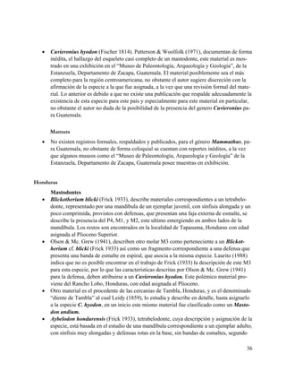    Cuvieronius hyodon (Fischer 1814). Patterson & Woolfolk (1971), documentan de forma
      inédita, el hallazgo del esqueleto casi completo de un mastodonte, este material es mos-
      trado en una exhibición en el “Museo de Paleontología, Arqueología y Geología”, de la
      Estanzuela, Departamento de Zacapa, Guatemala. El material posiblemente sea el más
      completo para la región centroamericana, no obstante el autor sugiere discreción con la
      afirmación de la especie a la que fue asignada, a la vez que una revisión formal del mate-
      rial. Lo anterior es debido a que no existe una publicación que respalde adecuadamente la
      existencia de esta especie para este país y especialmente para este material en particular,
      no obstante el autor no duda de la posibilidad de la presencia del genero Cuvieronius pa-
      ra Guatemala.

      Mamuts
     No existen registros formales, respaldados y publicados, para el género Mammuthus, pa-
      ra Guatemala, no obstante de forma coloquial se cuentan con reportes inéditos, a la vez
      que algunos museos como el “Museo de Paleontología, Arqueología y Geología” de la
      Estanzuela, Departamento de Zacapa, Guatemala posee muestras en exhibición.


Honduras
      Mastodontes
     Blickotherium blicki (Frick 1933), describe materiales correspondientes a un tetrabelo-
      donte, representado por una mandíbula de un ejemplar juvenil, con sínfisis alongada y un
      poco comprimida, provistos con defensas, que presentan una faja externa de esmalte, se
      describe la presencia del P4, M1, y M2, este ultimo emergiendo en ambos lados de la
      mandíbula. Los restos son encontrados en la localidad de Tapasuma, Honduras con edad
      asignada al Plioceno Superior.
     Olson & Mc. Grew (1941), describen otro molar M3 como perteneciente a un Blickot-
      herium cf. blicki (Frick 1933) así como un fragmento correspondiente a una defensa que
      presenta una banda de esmalte en espiral, que asocia a la misma especie. Laurito (1988)
      indica que no es posible encontrar en el trabajo de Frick (1933) la descripción de este M3
      para esta especie, por lo que las características descritas por Olson & Mc. Grew (1941)
      para la defensa, deben atribuirse a un Cuvieronius hyodon. Este polémico material pro-
      viene del Rancho Lobo, Honduras, con edad asignada al Plioceno.
     Otro material es el procedente de las cercanías de Tambla, Honduras, y es el denominado
      “diente de Tambla” al cual Leidy (1859), lo estudia y describe en detalle, hasta asignarlo
      a la especie C. hyodon, en un inicio este mismo material fue clasificado como un Masto-
      don andium.
     Aybelodon hondurensis (Frick 1933), tetrabelodonte, cuya descripción y asignación de la
      especie, está basada en el estudio de una mandíbula correspondiente a un ejemplar adulto,
      con sínfisis muy alongadas y defensas rotas en la base, sin bandas de esmaltes, segundo

                                                                                              36
 