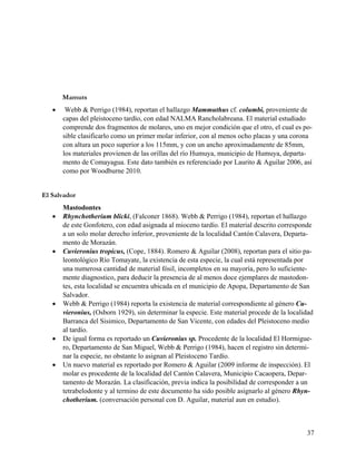 Mamuts
       Webb & Perrigo (1984), reportan el hallazgo Mammuthus cf. columbi, proveniente de
       capas del pleistoceno tardío, con edad NALMA Rancholabreana. El material estudiado
       comprende dos fragmentos de molares, uno en mejor condición que el otro, el cual es po-
       sible clasificarlo como un primer molar inferior, con al menos ocho placas y una corona
       con altura un poco superior a los 115mm, y con un ancho aproximadamente de 85mm,
       los materiales provienen de las orillas del río Humuya, municipio de Humuya, departa-
       mento de Comayagua. Este dato también es referenciado por Laurito & Aguilar 2006, así
       como por Woodburne 2010.


El Salvador
       Mastodontes
      Rhynchotherium blicki, (Falconer 1868). Webb & Perrigo (1984), reportan el hallazgo
       de este Gonfotero, con edad asignada al mioceno tardío. El material descrito corresponde
       a un solo molar derecho inferior, proveniente de la localidad Cantón Calavera, Departa-
       mento de Morazán.
      Cuvieronius tropicus, (Cope, 1884). Romero & Aguilar (2008), reportan para el sitio pa-
       leontológico Río Tomayate, la existencia de esta especie, la cual está representada por
       una numerosa cantidad de material fósil, incompletos en su mayoría, pero lo suficiente-
       mente diagnostico, para deducir la presencia de al menos doce ejemplares de mastodon-
       tes, esta localidad se encuentra ubicada en el municipio de Apopa, Departamento de San
       Salvador.
      Webb & Perrigo (1984) reporta la existencia de material correspondiente al género Cu-
       vieronius, (Osborn 1929), sin determinar la especie. Este material procede de la localidad
       Barranca del Sisimico, Departamento de San Vicente, con edades del Pleistoceno medio
       al tardío.
      De igual forma es reportado un Cuvieronius sp. Procedente de la localidad El Hormigue-
       ro, Departamento de San Miguel, Webb & Perrigo (1984), hacen el registro sin determi-
       nar la especie, no obstante lo asignan al Pleistoceno Tardío.
      Un nuevo material es reportado por Romero & Aguilar (2009 informe de inspección). El
       molar es procedente de la localidad del Cantón Calavera, Municipio Cacaopera, Depar-
       tamento de Morazán. La clasificación, previa indica la posibilidad de corresponder a un
       tetrabelodonte y al termino de este documento ha sido posible asignarlo al género Rhyn-
       chotherium. (conversación personal con D. Aguilar, material aun en estudio).



                                                                                              37
 