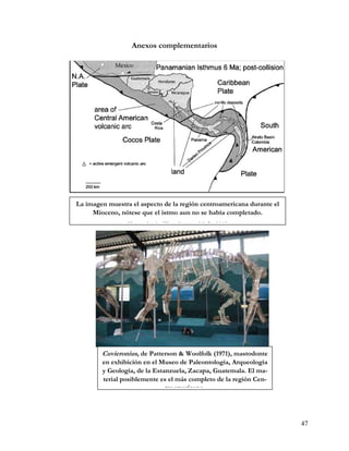 Anexos complementarios




La imagen muestra el aspecto de la región centroamericana durante el
     Mioceno, nótese que el istmo aun no se había completado.
                 T     d d W     db     M O 2010




        Cuvieronius, de Patterson & Woolfolk (1971), mastodonte
        en exhibición en el Museo de Paleontología, Arqueología
        y Geología, de la Estanzuela, Zacapa, Guatemala. El ma-
        terial posiblemente es el más completo de la región Cen-
                              troamericana




                                                                       47
 