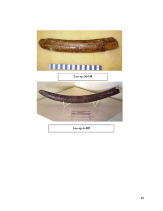 2-ss-ap-30-141




1-ss-ap-6-205




                 49
 