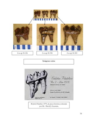 2-ss-ap-30-126                   2-ss-ap-30-338                      2-ss-ap-30-305



                                  Imágenes varias




                 Boletín Filatélico 1979, de pieza histórica colectada
                              por Dr. David J. Guzmán,



                                                                                      51
 